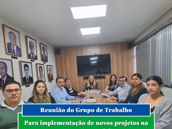 Reunião de Grupo de Trabalho avalia implementação de novos projetos na Jucea-AM