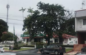 Imagem da notícia - Jucea disponibiliza para usuários 15 vagas de estacionamento nas dependências da Funerária Canaã