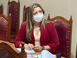 Imagem da notícia - Jucea participa de apresentação do projeto ‘Observatório Brasil de Investimentos Estrangeiros’